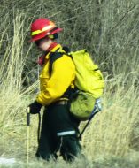 trained park employee sets controlled burn